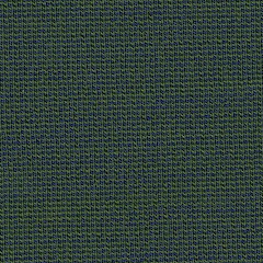 PEACOCK/B939