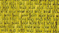 E132