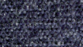 H546