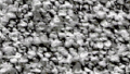 I894