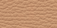 LD50