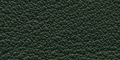 LE30