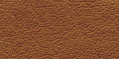 LE71