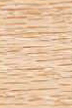 WO