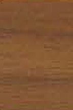 WN