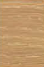 WO