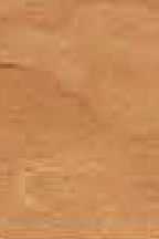 CL